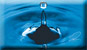 Revendeurs nautique